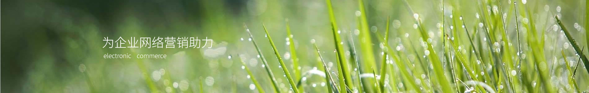 ݸоʵҵ޹˾